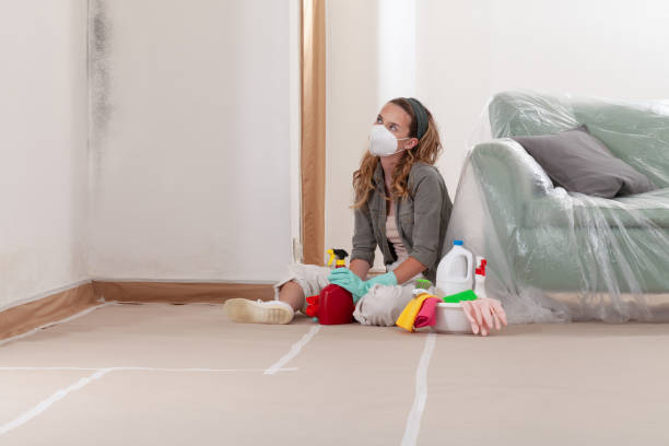Reliable Basement Mold Removal contractor in Cedar Grove, NJ by WQB Mold Removal